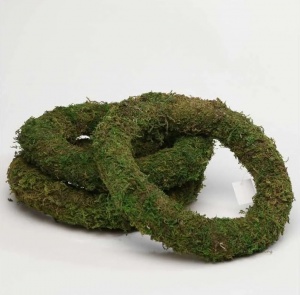 Preserved Moss Wreath Rings